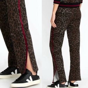 JOHNNY WAS Erin Athletic Tape Jogger M Leopard Print Sweat Pants Velvet Stripe